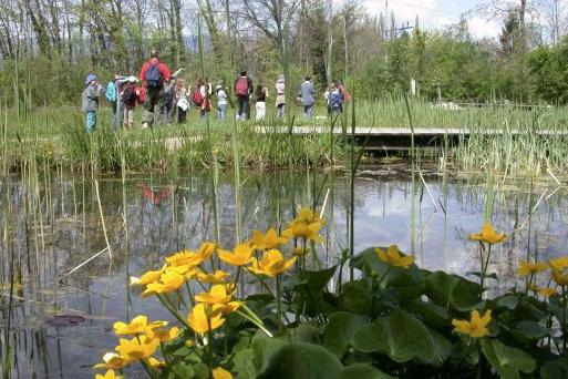 Am See beim Pro Natura Zentrum Champ-Pittet